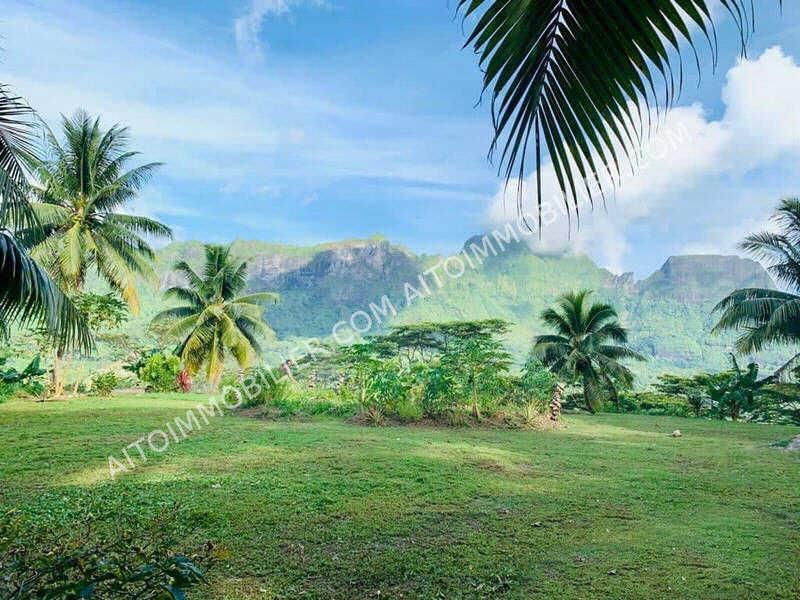 Vente Terrain MOOREA 1