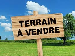 VENTE TERRAIN HITIAA 1